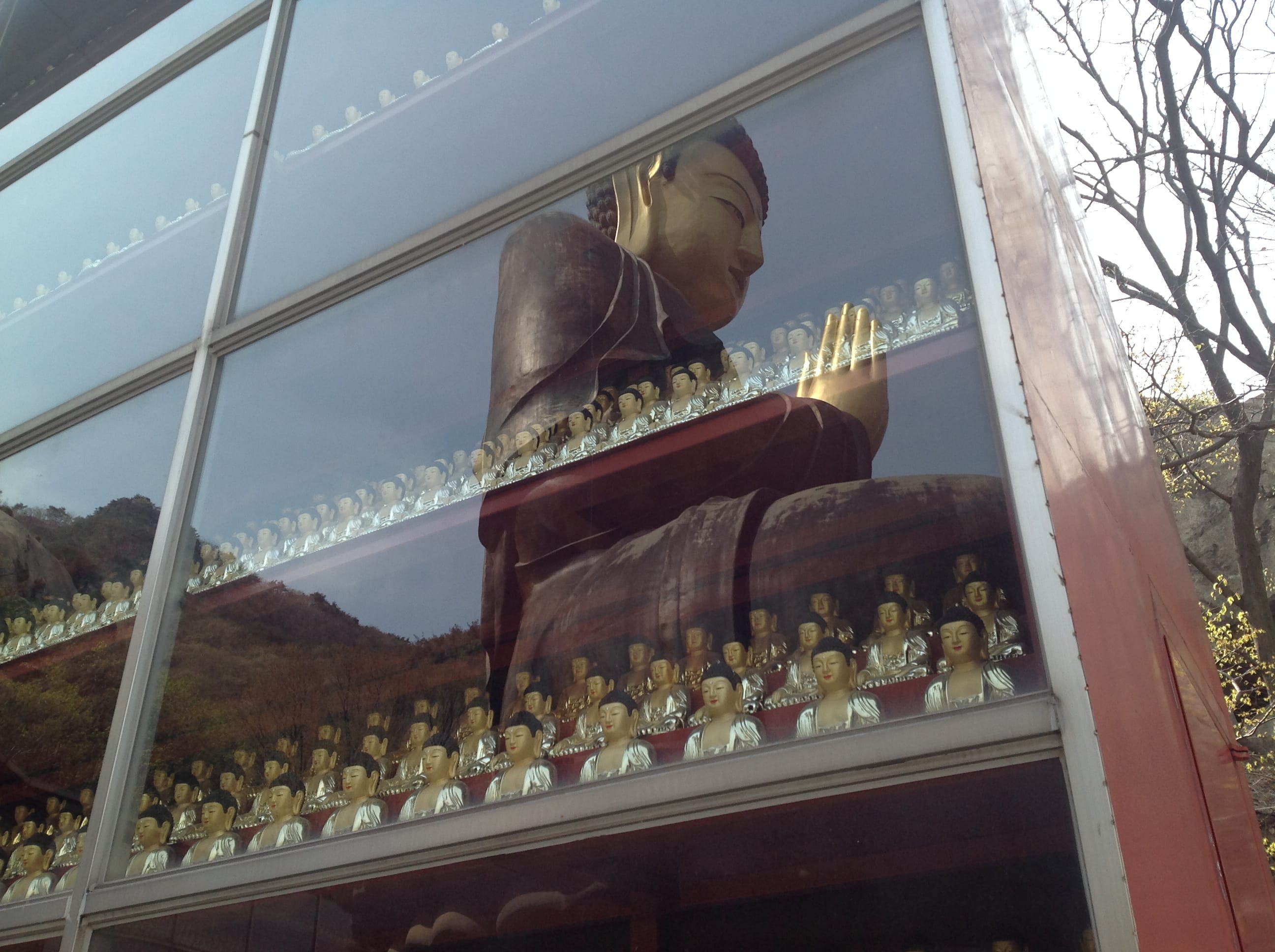 buddha statue hong kong