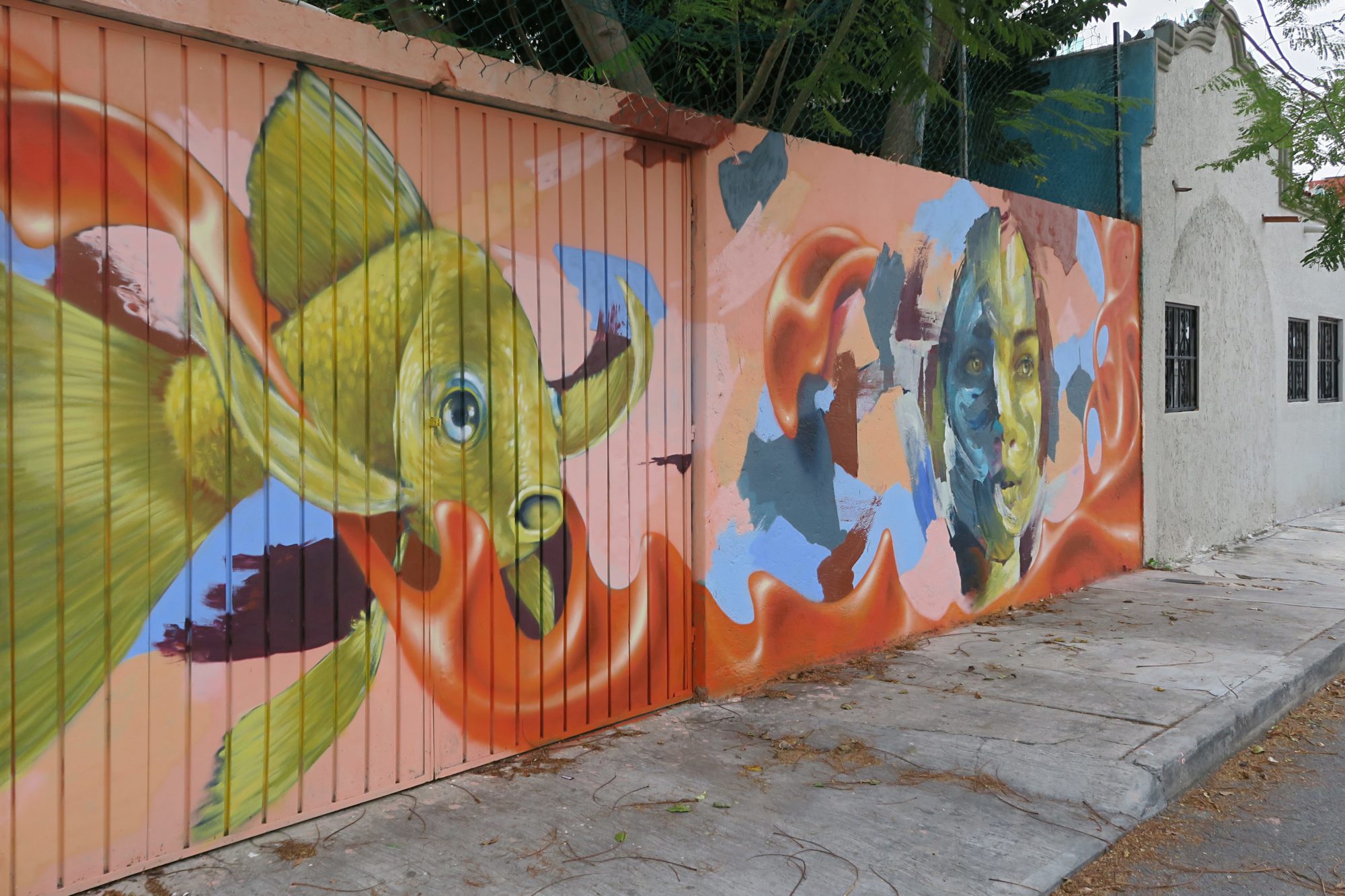 cancun, yucatan, graffiti